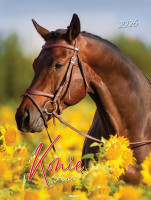 Kalendarz ścienny mały spirala KSMS-5 Konie Avanti